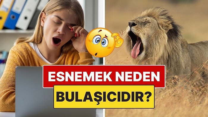 Okurken Esneyeceksiniz: Esnemek Neden Bulaşıcıdır?