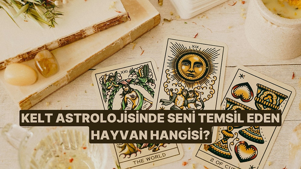 Doğum Tarihine Göre Kelt Haritasında Hangi Hayvansın?