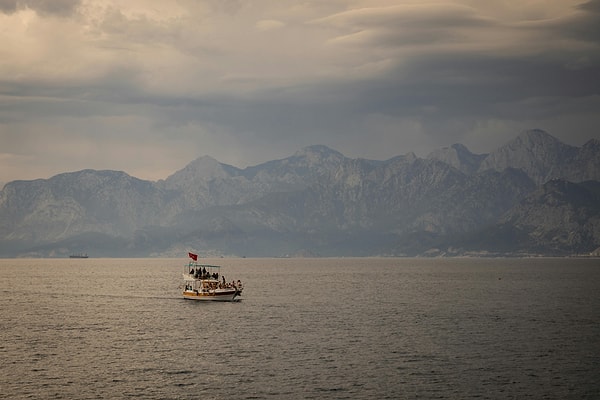 8. Exploring Quiet Bays with Boat Tours