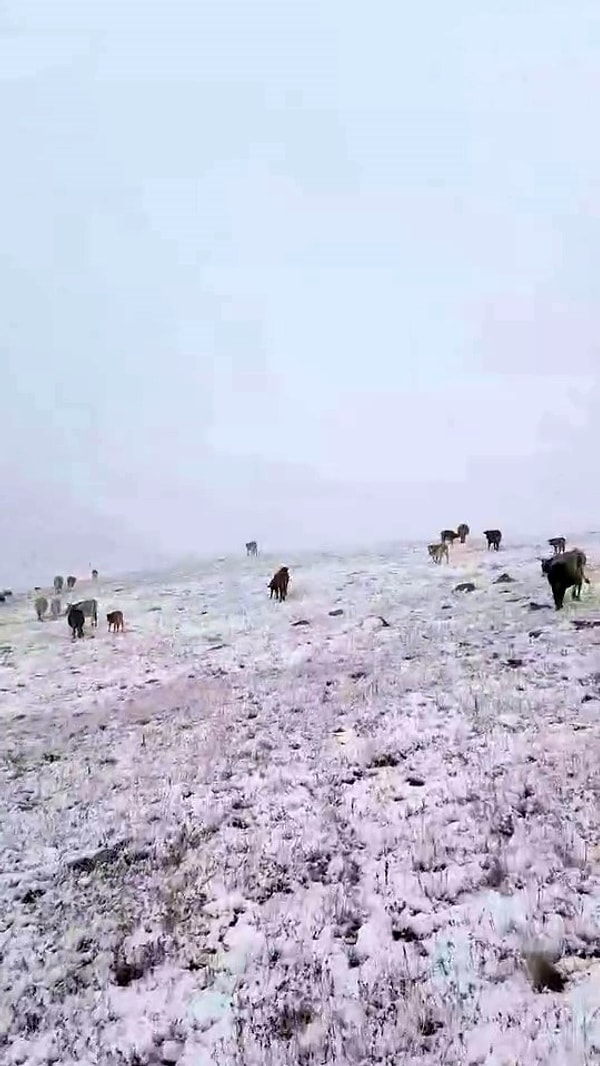 Türkiye'de yılın ilk karı yağdı.