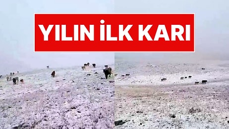 Türkiye'de Yılın İlk Karı Yağdı! O İlçede Yaşayanlar Beyaz Sürprizle Şaşkına Döndü
