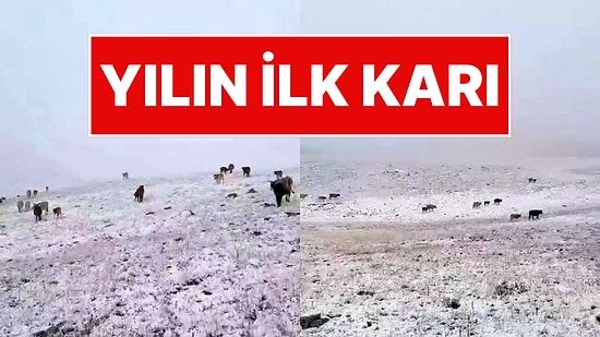 Türkiye'de Yılın İlk Karı Yağdı! O İlçede Yaşayanlar Beyaz Sürprizle Şaşkına Döndü