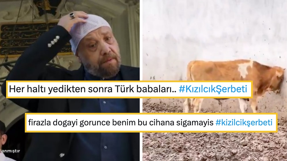 Kızılcık Şerbeti'ni Mizahına Alet Ederek Hepimizi Güldüren Goygoyseverler