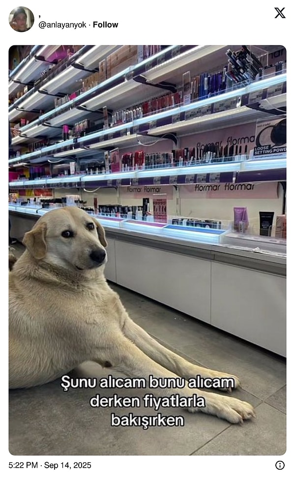 👇