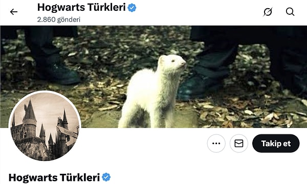 Ben aynı fotoğrafı görüyorum, siz?