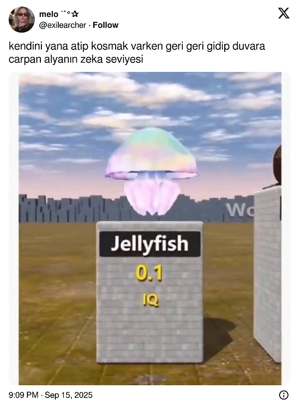 👇