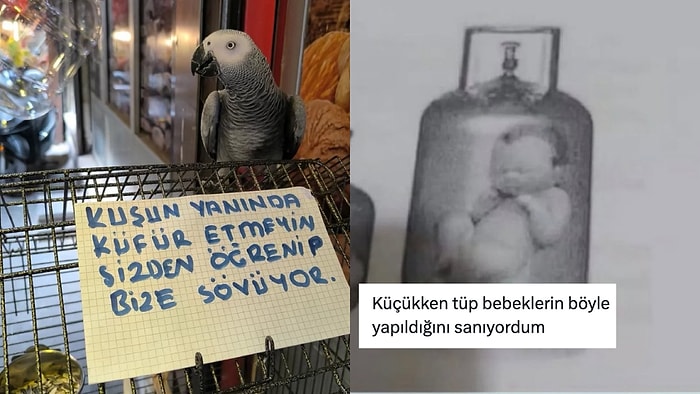 Küfürbaz Papağandan Çocuklukta Kafada Canlananlara Son 24 Saatin Viral Tweetleri