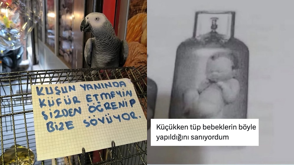Küfürbaz Papağandan Çocuklukta Kafada Canlananlara Son 24 Saatin Viral Tweetleri