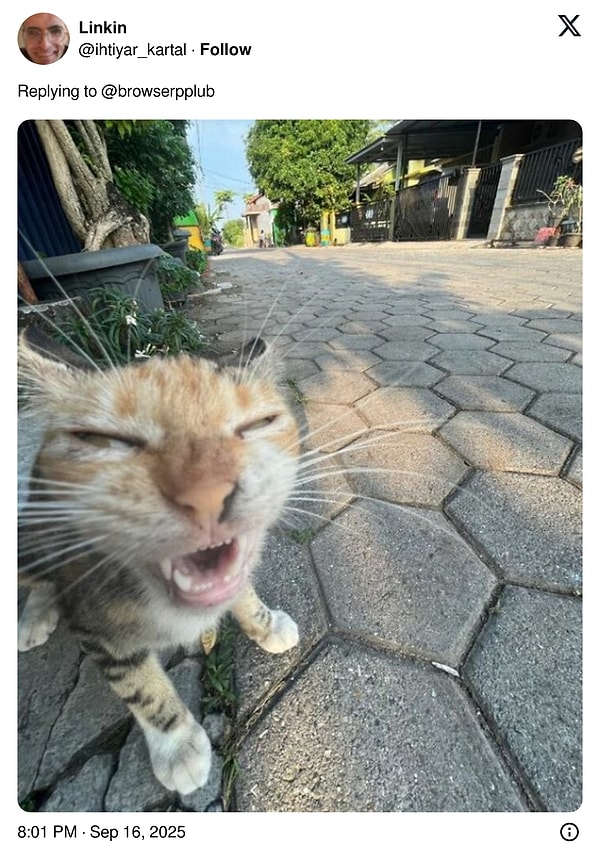 👇