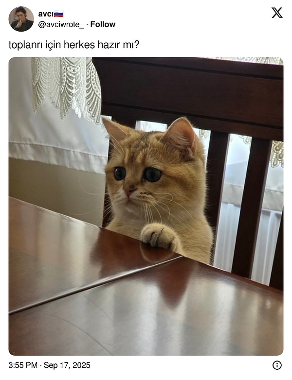👇