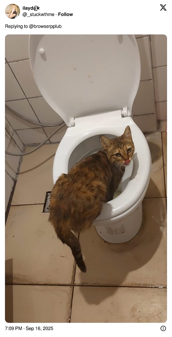 👇