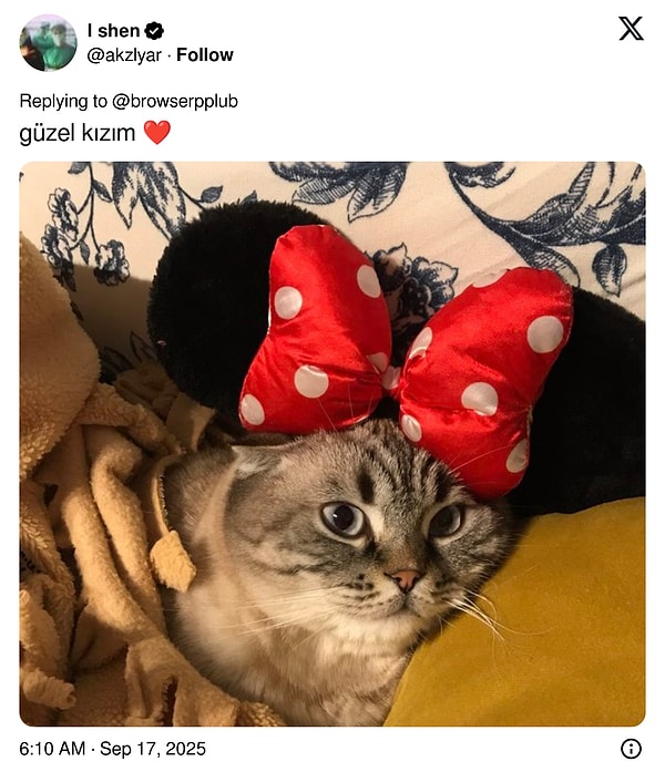 👇
