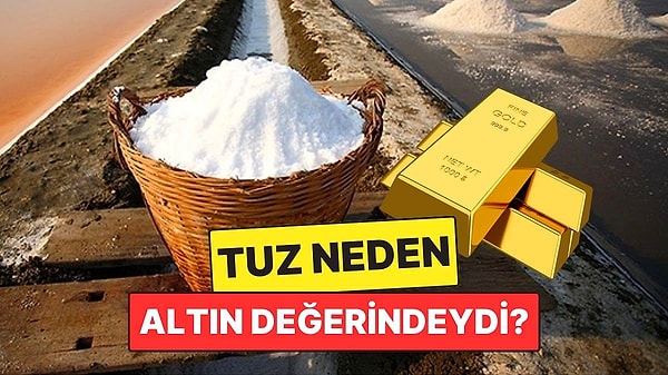 15. Antik Zamanlarda Tuz Neden Altın Değerindeydi? Maaş Olarak Bile Verilmiş!