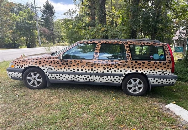 6. Leopar severler burada mı?
