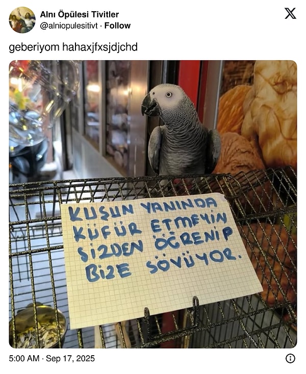 Aman!