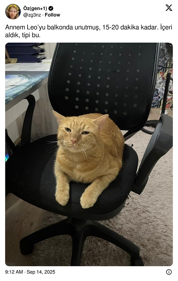 👇
