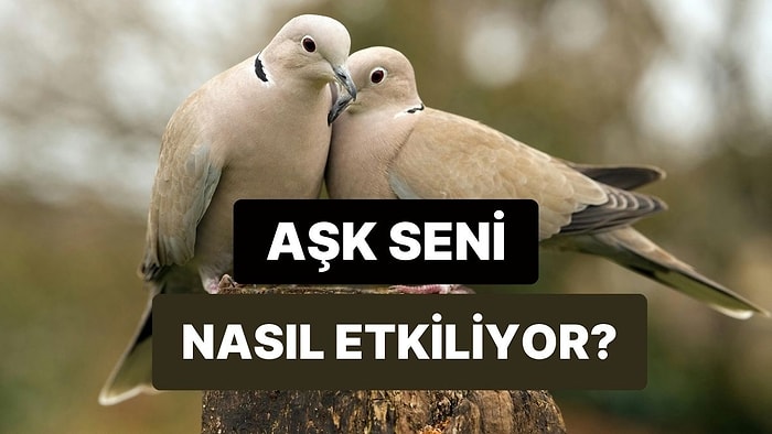 Aşk Sana Ne Kadar Yakışıyor?