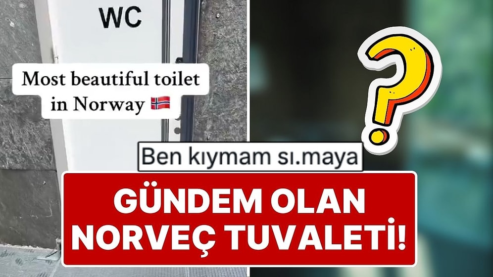 Bir Tuvalet Ne Kadar Güzel Olabilir? Norveç'teki Tuvalet Görenlerin Ağzını Açık Bıraktırdı!