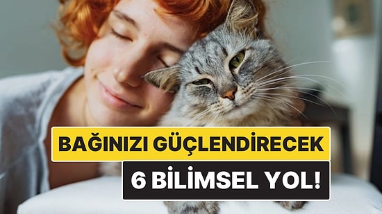 Kedinizle Bağınızı Güçlendirmenin 6 Bilimsel Yolu