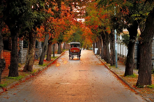 10. Burgazada