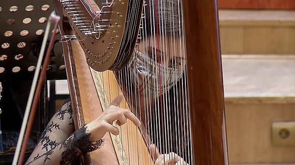 Arp aslında hem çok eski hem de teknolojik bir müzik aleti!