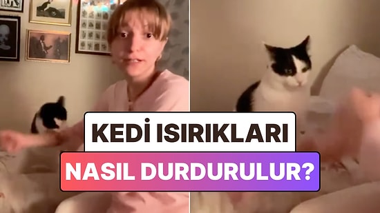Kedilerin Isırık Saldırılarından Kurtulmak İçin Bulunan Bi' Garip Yöntem