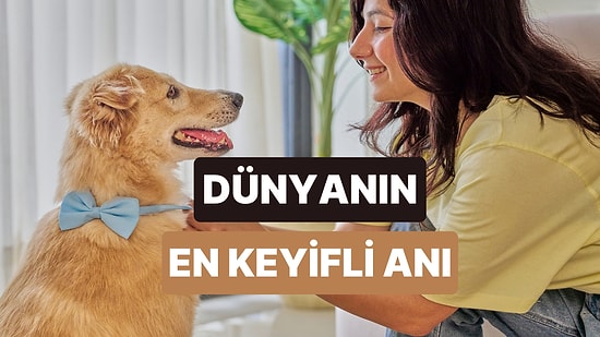 Evcil Hayvanınızla Dans Ederken Arkada Çalan Mutlu Şarkılar