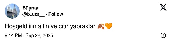 Ne dersiniz?