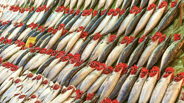 1. Kadıköy Bazaar and Fish Market — The liveliest spot on the Anatolian side