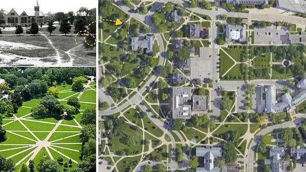 İşte, Michigan State Üniversitesi (MSU) kampüsündeki “arzu patikaları”