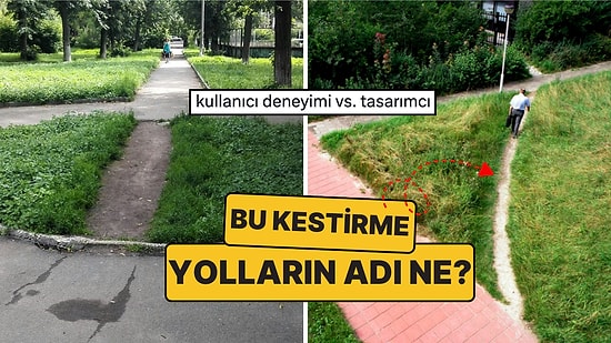 Desire Path (Arzu Patikası) Nedir? İnsanların Plansızca Belirlediği Kestirme Yolların Ardındaki Anlam