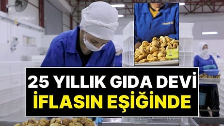 Konkordato İlan Etti: 14 Ülkeye İhracat Yapan 25 Yıllık Türk Gıda Devi İflasın Eşiğinde!