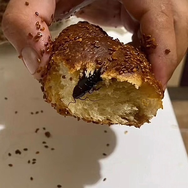 Sosyal medyada paylaşılan poğaçanın içinden çıkan böcek gündem oldu.