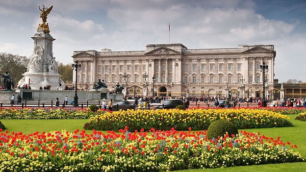 Sen, Buckingham Sarayı'nda oturmalısın!