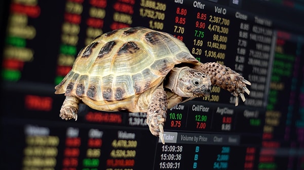 Borsa Kaplumbağası!