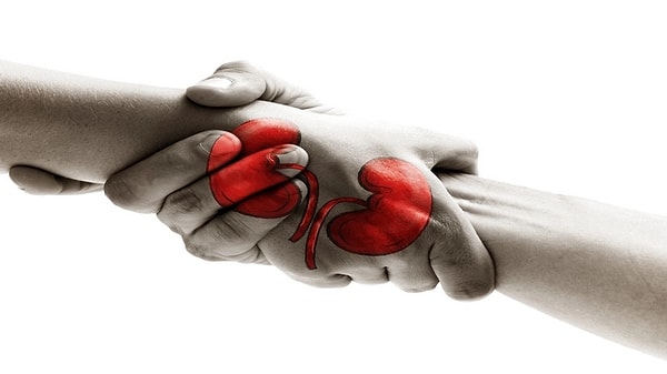 Resmi Gazete'de "Organ Nakli Hizmetleri Yönetmeliğinde Değişiklik Yapılmasına Dair Yönetmelik" yayımlandı.