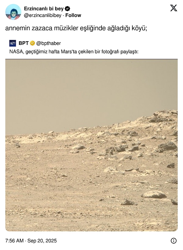 Uğruna ailenin birbirine girdiği arsa...