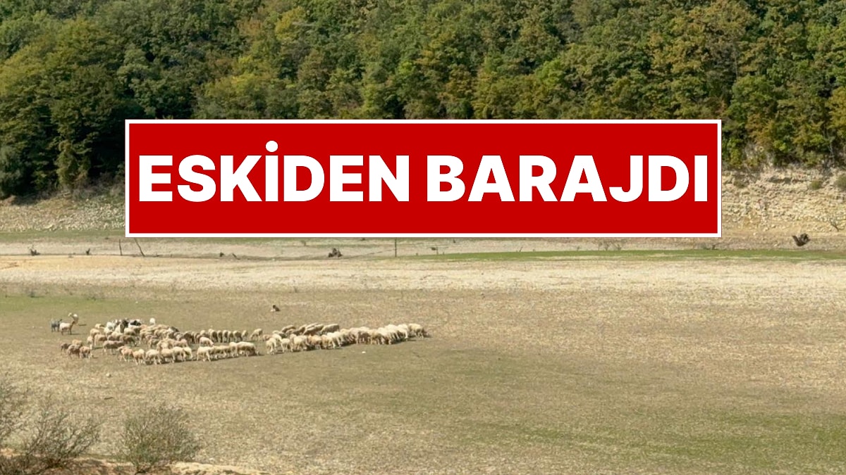 İstanbul&apos;a Su Sağlayan Barajdan Acı Fotoğraf! İSKİ Son Durumu Paylaştı