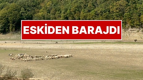 İstanbul'a Su Sağlayan Barajdan Acı Fotoğraf! İSKİ Son Durumu Paylaştı
