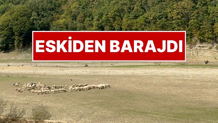 İstanbul'a Su Sağlayan Barajdan Acı Fotoğraf! İSKİ Son Durumu Paylaştı