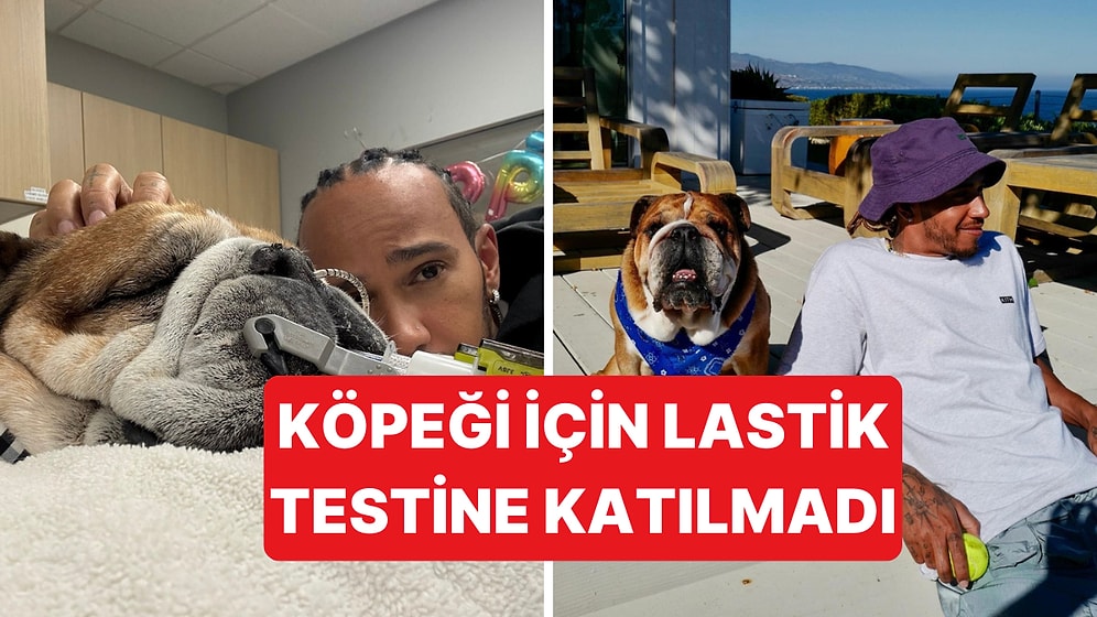 Formula 1 Pilotu Lewis Hamilton Hasta Köpeğinin Yanında Olmak İçin Lastik Testine Katılmadı