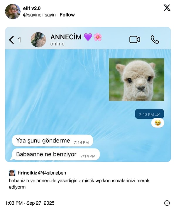 Babaanneler, babaannelerimiz...