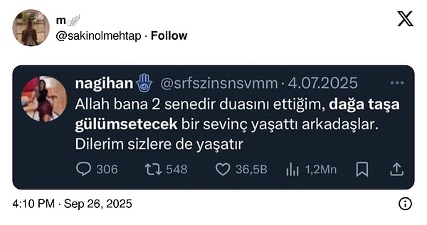 👇🏻