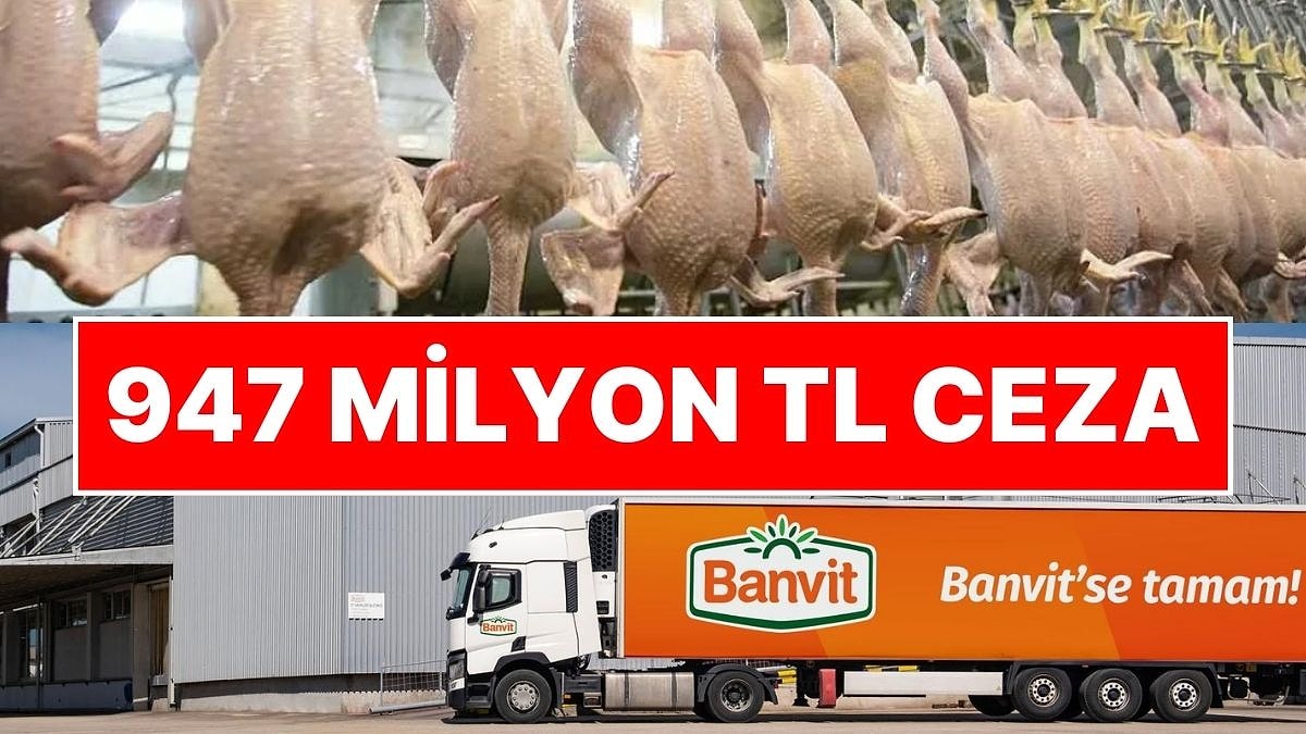 Piliç Eti Soruşturmasında Ceza Yağmuru: Rekabet Kurulu’ndan Banvit’e 947 Milyon 305 Bin TL Ceza