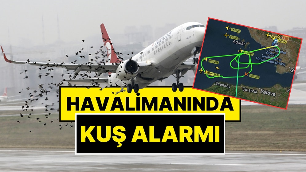Sabiha Gökçen Havalimanı’nda Kuş Alarmı! Uçaklar Pisti Pas Geçti, Havada Tur Attı