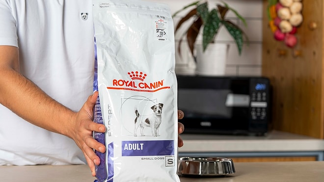 Royal Canin Türkiye’den Sahte Mamaya Önlem: Hologramlı QR Kod ile Ürün Doğrulama Sistemi