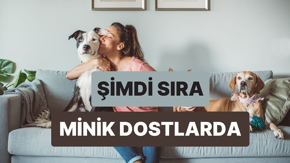 Evcil Hayvanın Senin Hakkında Ne Düşünüyor?