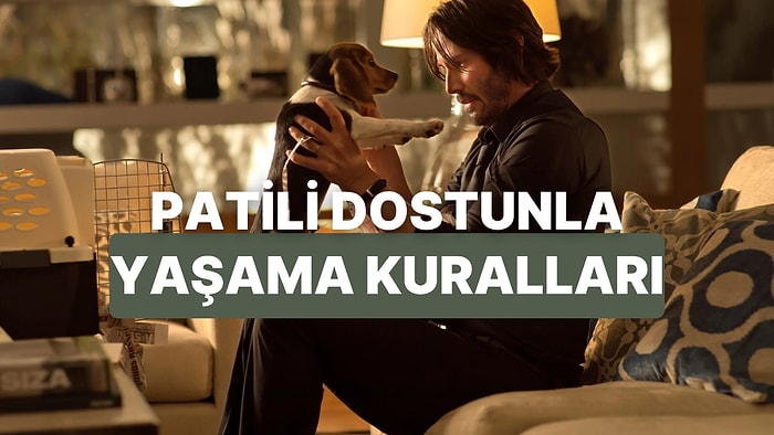 Evcil Hayvan Sahiplerinin Evde Mutlaka Dikkat Etmesi Gereken Kurallar