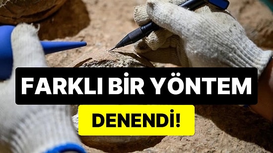 Tarihte Bir İlk: Dinozor Yumurtası İlk Kez Doğrudan Tarihlendirildi