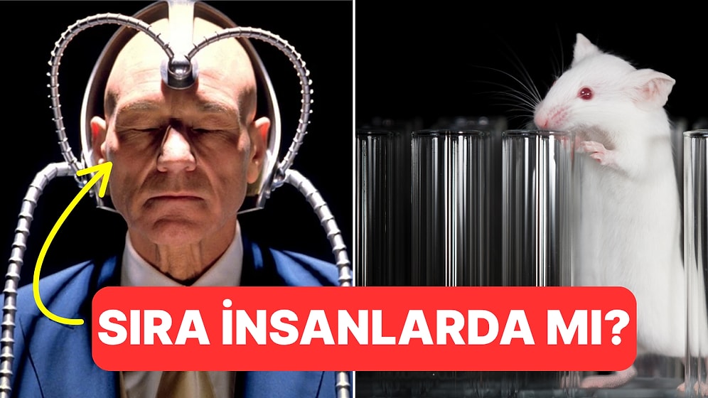 Sıra Bize mi Geliyor? Bilim İnsanları Farelerin Zihinlerini Okuyabildiklerini Söylüyor